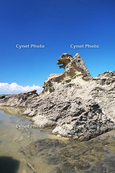 ゴジラ岩 [TMA110070094]