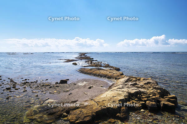 鵜ノ崎海岸 [TMA110070095]