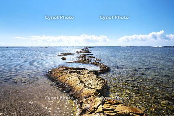 鵜ノ崎海岸 [TMA110070096]