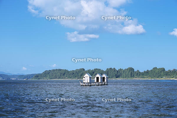 高瀬川（小川原湖）のマテ小屋 [TMA110070110]