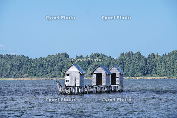 高瀬川（小川原湖）のマテ小屋 [TMA110070111]