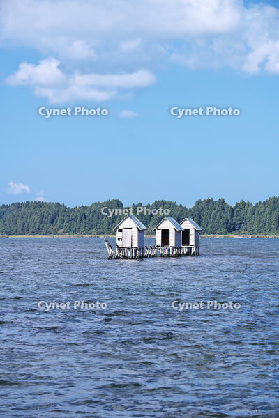 高瀬川（小川原湖）のマテ小屋 [TMA110070113]