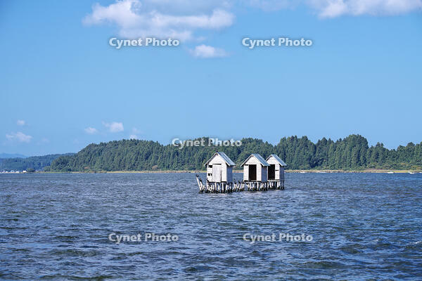 高瀬川（小川原湖）のマテ小屋 [TMA110070114]