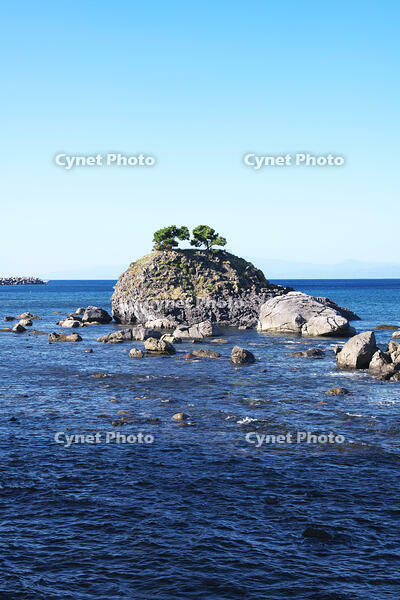 蛇浦海岸の草島 [TMA110070132]