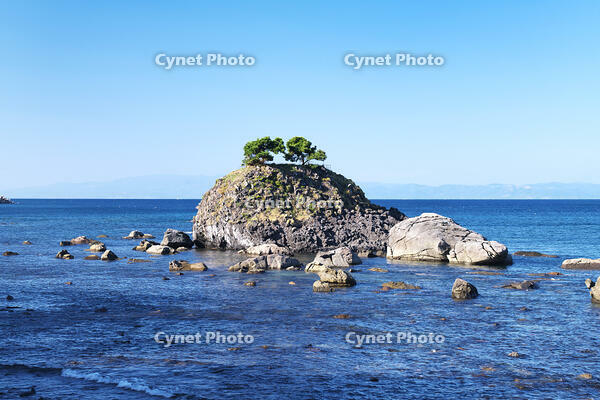 蛇浦海岸の草島 [TMA110070133]