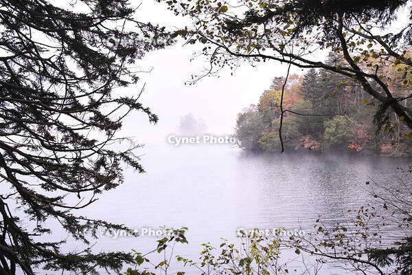 然別湖の朝霧と紅葉と弁天島 [TMA110070142]