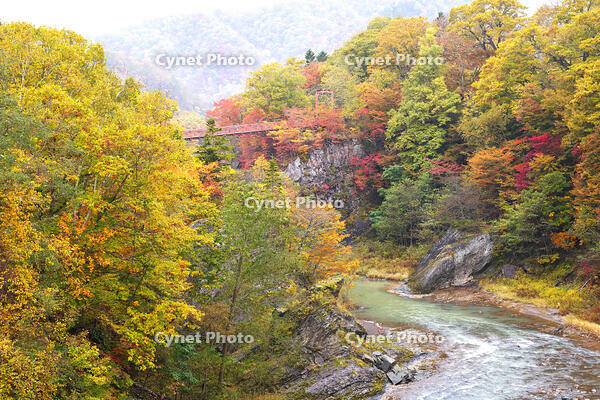 滝の上公園の紅葉と夕張川 [TMA110070171]