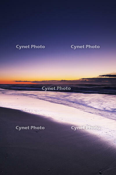 十勝の朝の海（太平洋） [TMA110070190]
