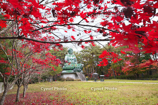 能登長寿大仏　紅葉 [TMA110070776]