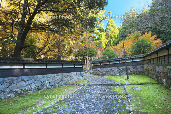 永光寺の紅葉 [TMA110070784]