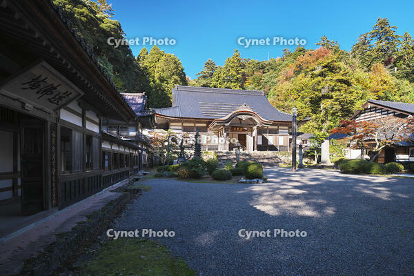 永光寺の紅葉 [TMA110070788]