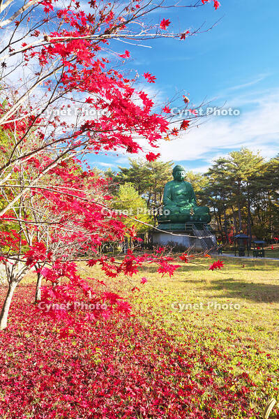 能登長寿大仏　紅葉 [TMA110070820]