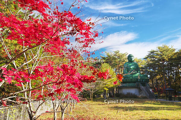 能登長寿大仏　紅葉 [TMA110070821]