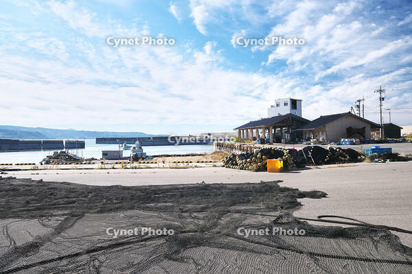 仮復旧した鹿磯漁港 [TMA110070832]