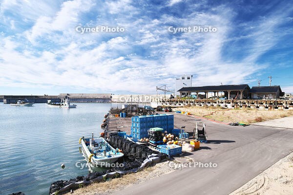 仮復旧した鹿磯漁港 [TMA110070834]