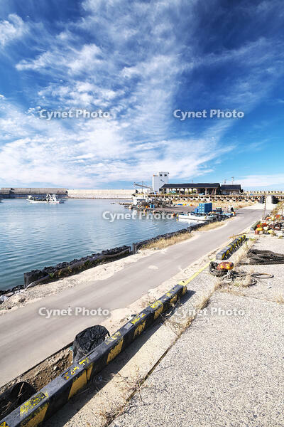 仮復旧した鹿磯漁港 [TMA110070837]