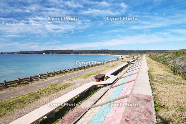 世界一長いベンチ [TMA110070841]