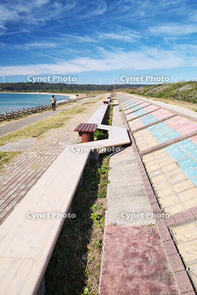 世界一長いベンチ [TMA110070845]