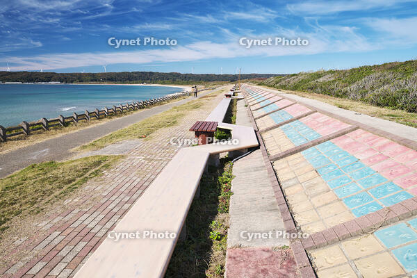 世界一長いベンチ [TMA110070846]