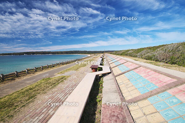 世界一長いベンチ [TMA110070847]