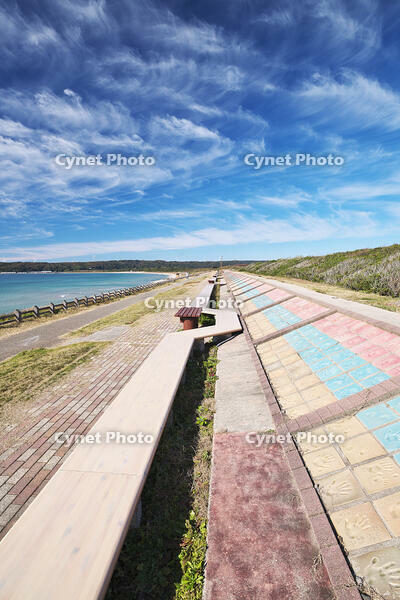 世界一長いベンチ [TMA110070848]