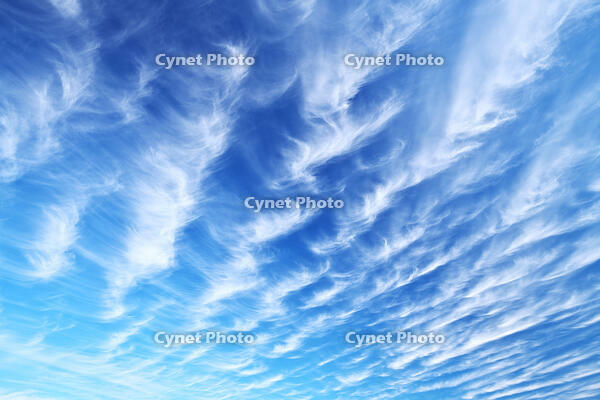 雲（巻雲） [TMA110070849]