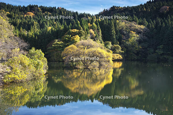 蛇ヶ池　紅葉 [TMA110070859]