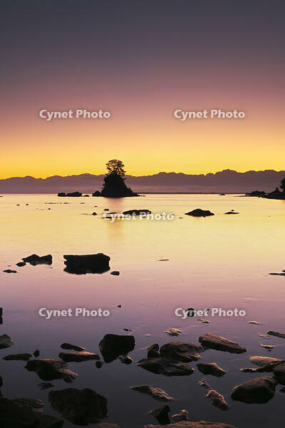 雨晴海岸と女岩と立山連峰の朝 [TMA110070871]