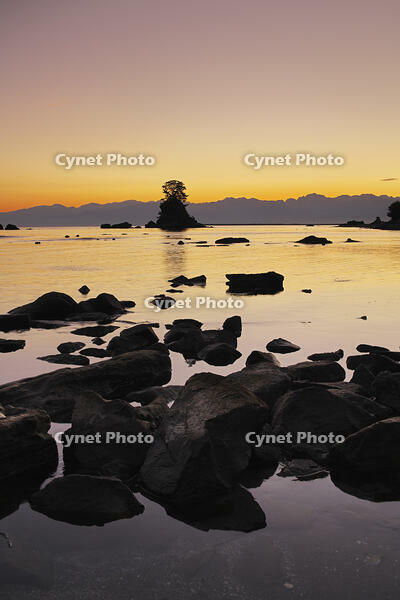 雨晴海岸と女岩と立山連峰の朝 [TMA110070878]