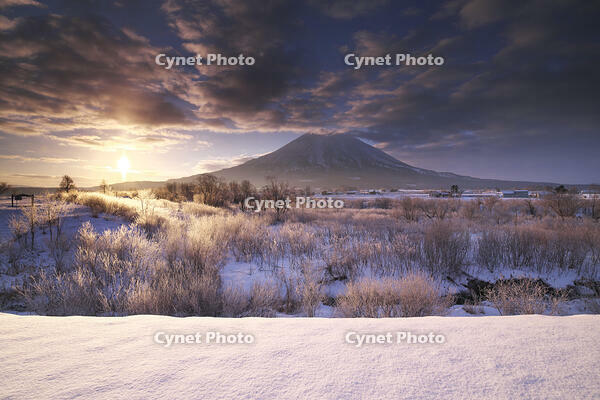 尻別川の樹氷と羊蹄山の日の出 [TMA110070921]