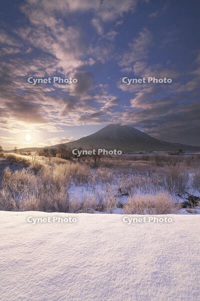 尻別川の樹氷と羊蹄山の日の出 [TMA110070924]