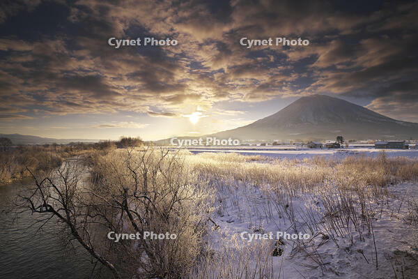 尻別川の樹氷と羊蹄山の日の出 [TMA110070927]