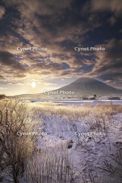 尻別川の樹氷と羊蹄山の日の出 [TMA110070928]
