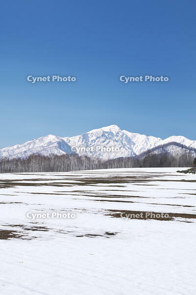 夕張山地と残雪の農地 [TMA110071748]