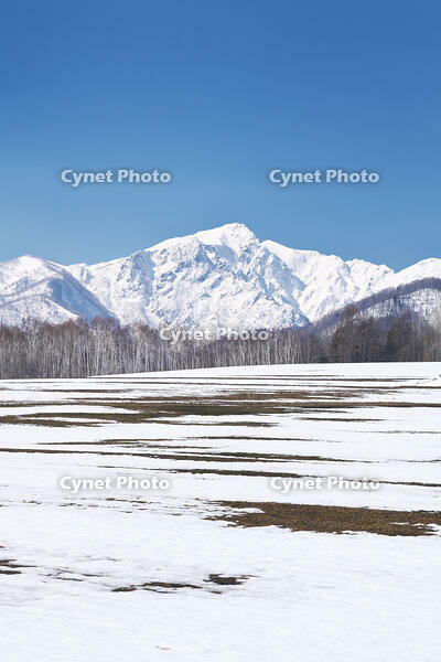 夕張山地と残雪の農地 [TMA110071749]