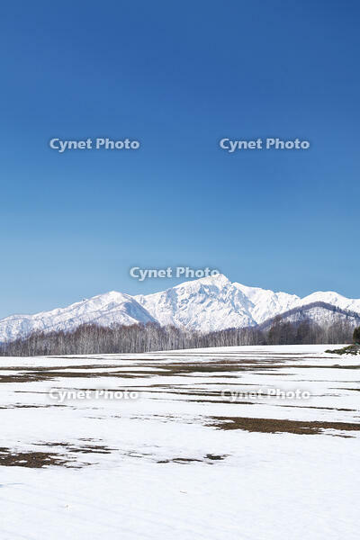 夕張山地と残雪の農地 [TMA110071750]