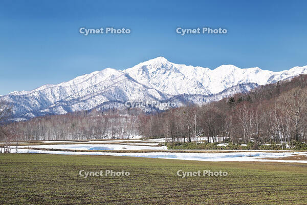 夕張山地と残雪の農地 [TMA110071751]