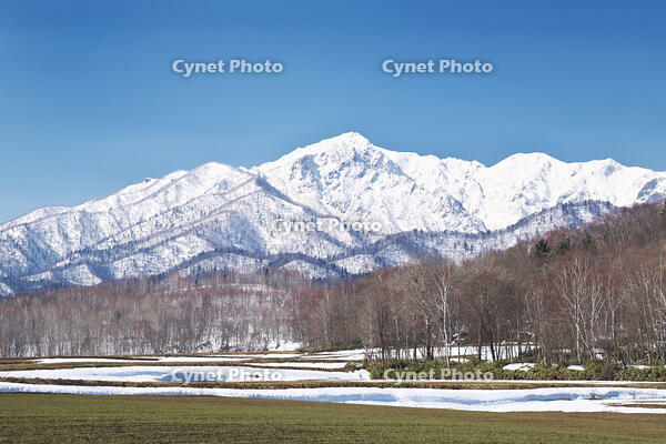夕張山地と残雪の農地 [TMA110071753]