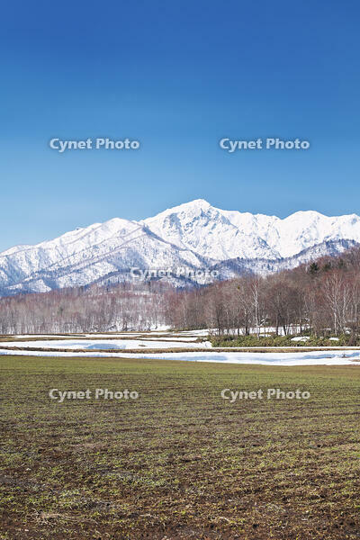 夕張山地と残雪の農地 [TMA110071754]