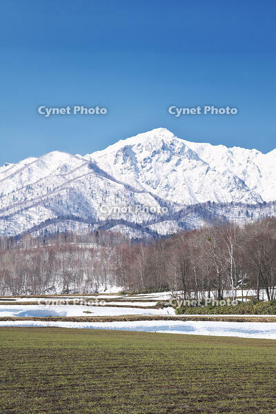 夕張山地と残雪の農地 [TMA110071756]