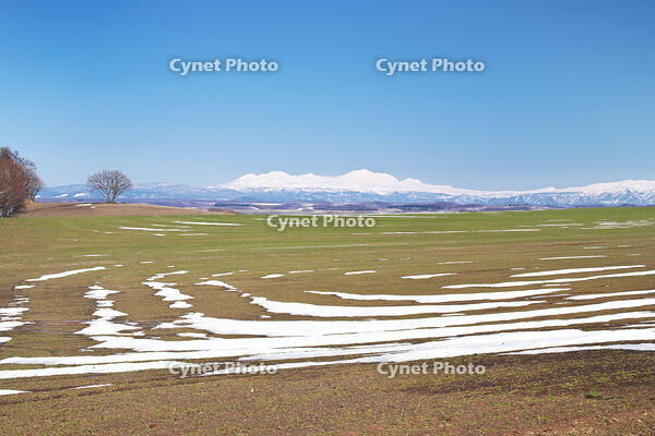大雪山と残雪の農地 [TMA110071794]