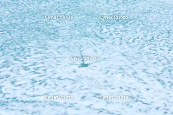 氷の残るシューパロ湖の氷 [TMA110071845]