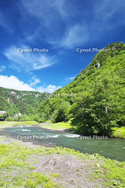 層雲峡の新緑と石狩川 [TMA110073283]
