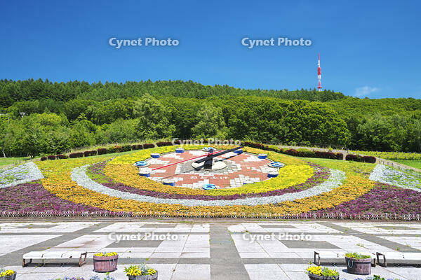 花時計ハナック　十勝が丘公園 [TMA110073364]