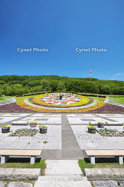 花時計ハナック　十勝が丘公園 [TMA110073365]