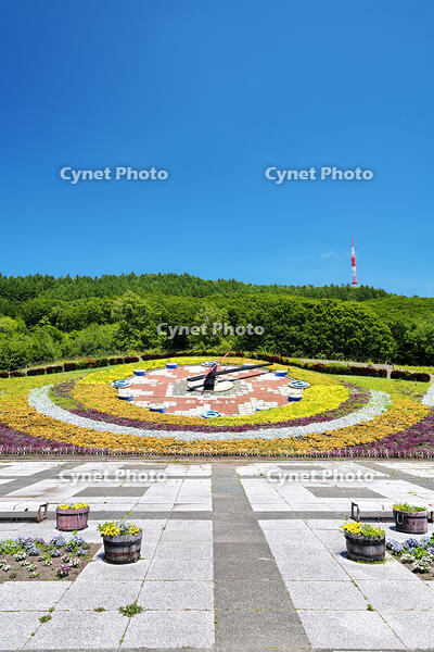 花時計ハナック　十勝が丘公園 [TMA110073366]
