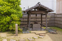 千利休屋敷跡　椿の井戸 [OKE110019657]