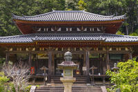 弘仁寺　本堂 [OKE110019688]