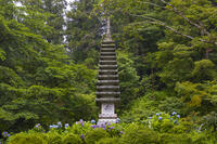 大和観音あぢさゐ回廊　岡寺　十三重石塔 [OKE110019703]