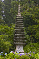 大和観音あぢさゐ回廊　岡寺　十三重石塔 [OKE110019704]